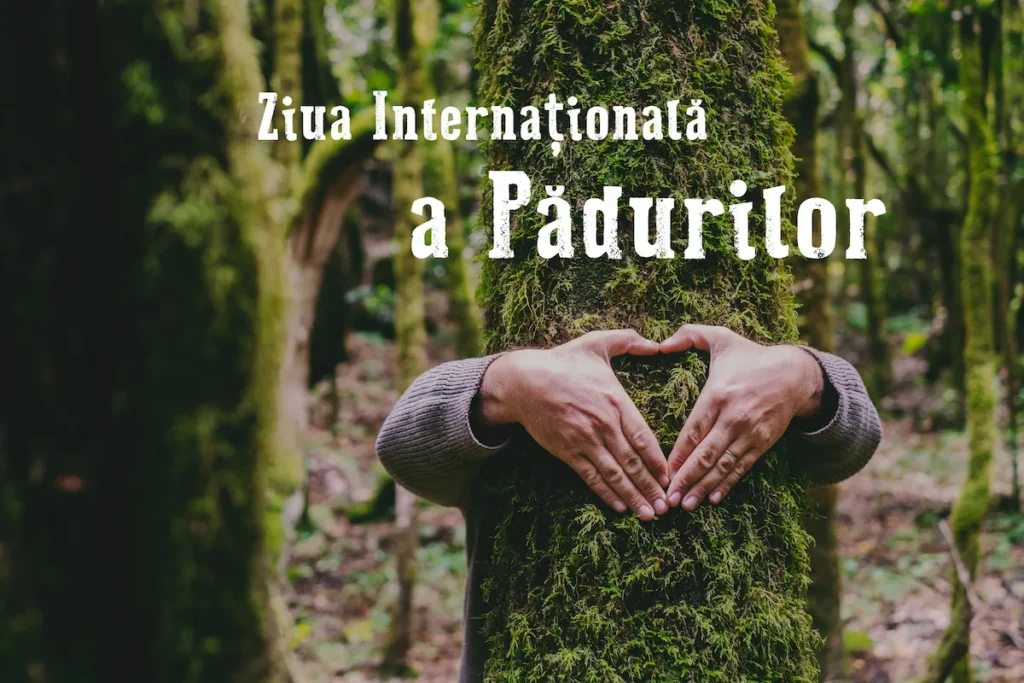 21 Martie – Ziua Internațională a Pădurilor! (VIDEO)