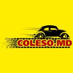 Eximotor Membru ReGREEN