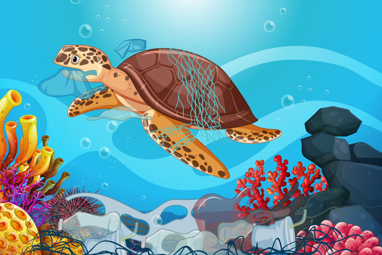 🐢 Ziua Mondială a Țestoaselor Marine