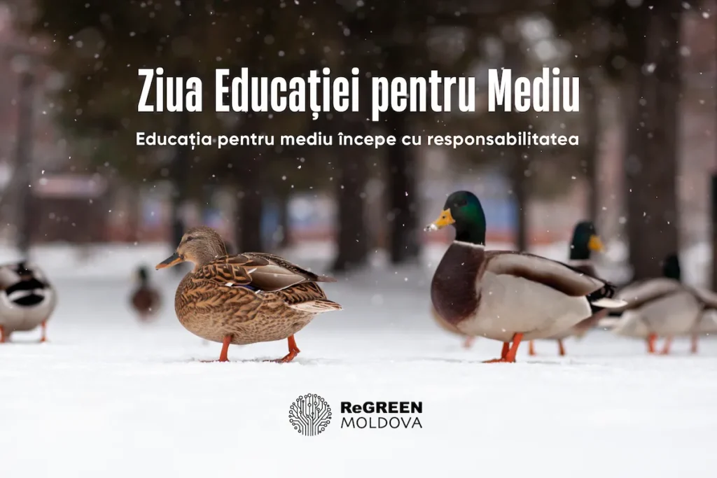 Ziua Educației pentru Mediu – Responsabilitatea față de mediu se învață, se aplică, se transmite