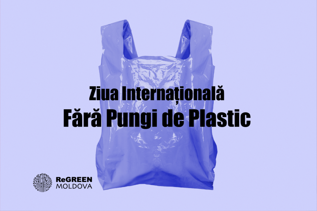 Ziua Internațională Fără Pungi de Plastic: un gest simplu, un impact real