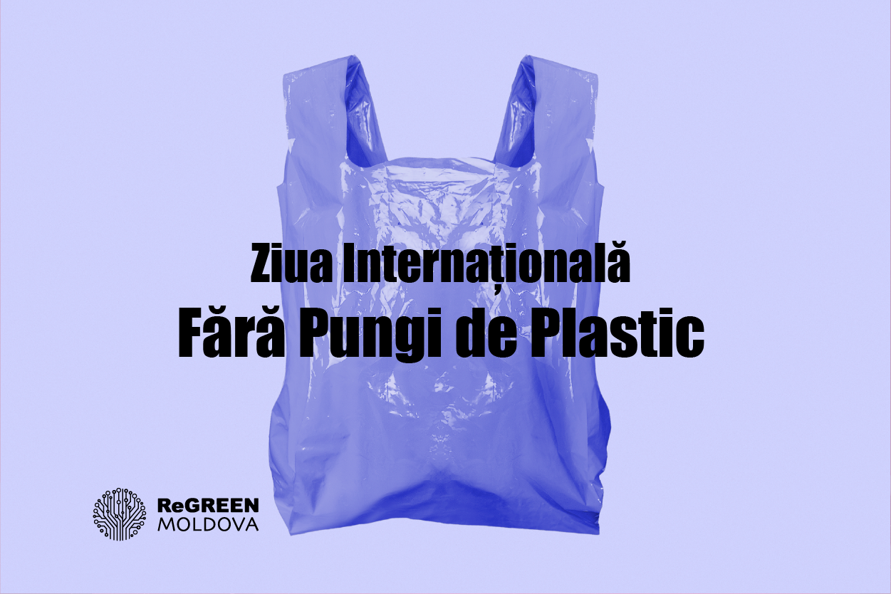Ziua Internațională Fără Pungi de Plastic: un gest simplu, un impact real